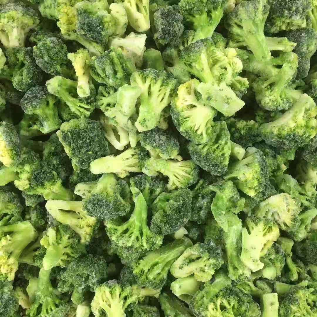 IQF Frozen Broccoli - Yung Yong