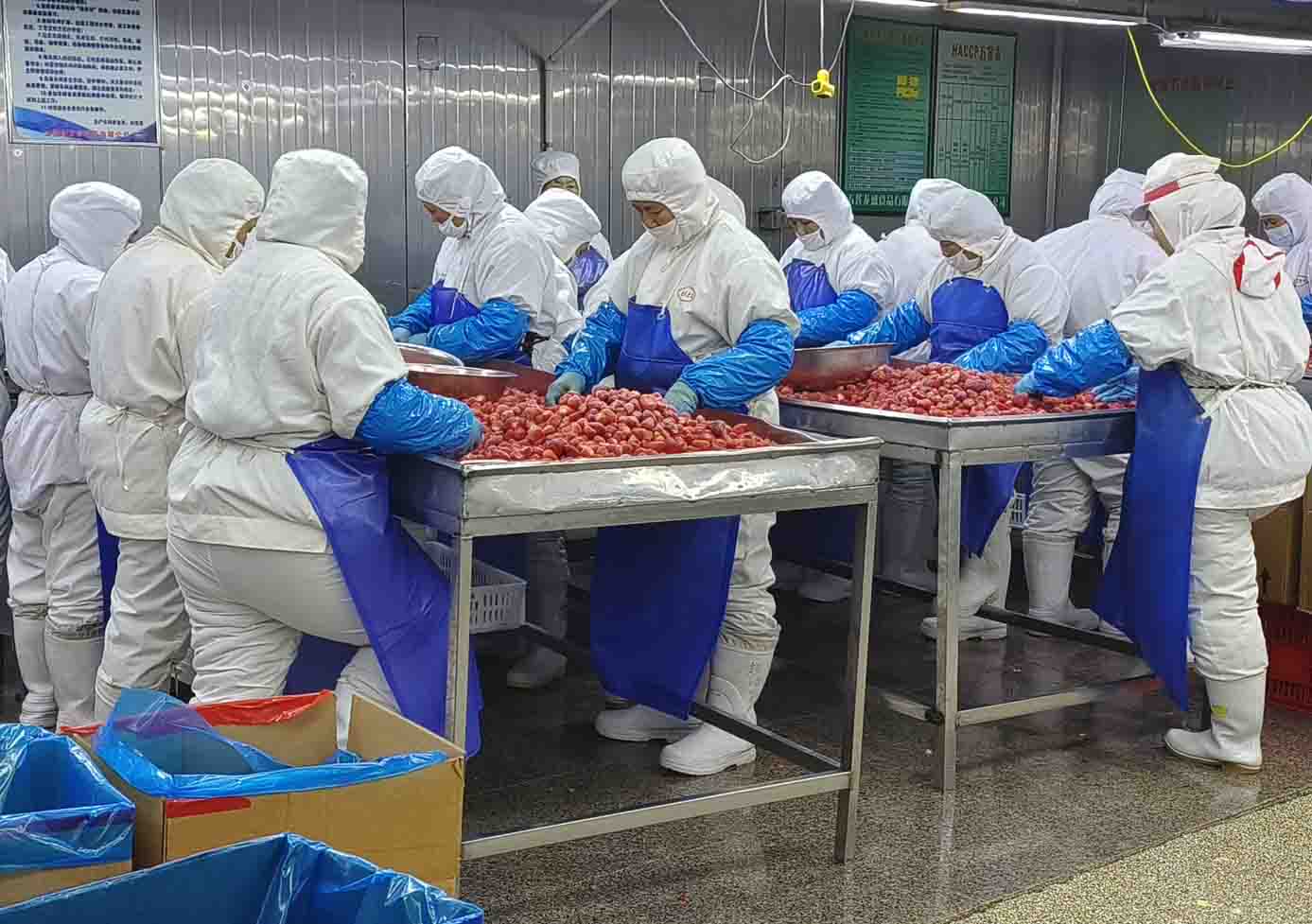 New Season Frozen Strawberry