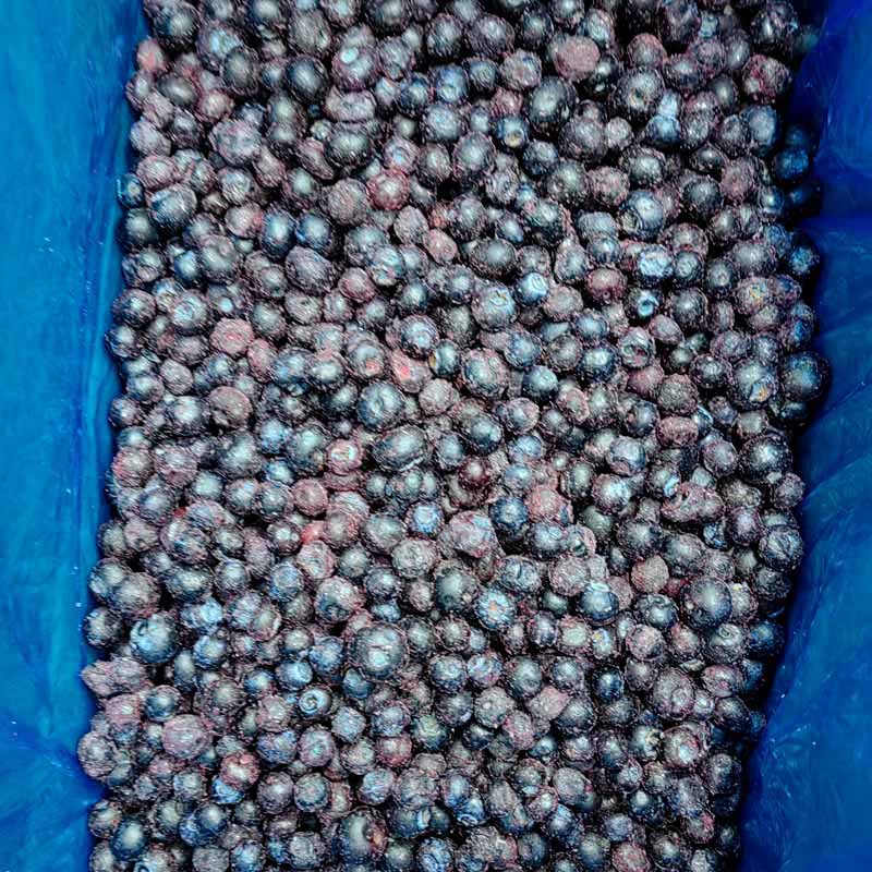 Замороженная черника IQF - Yung Yong