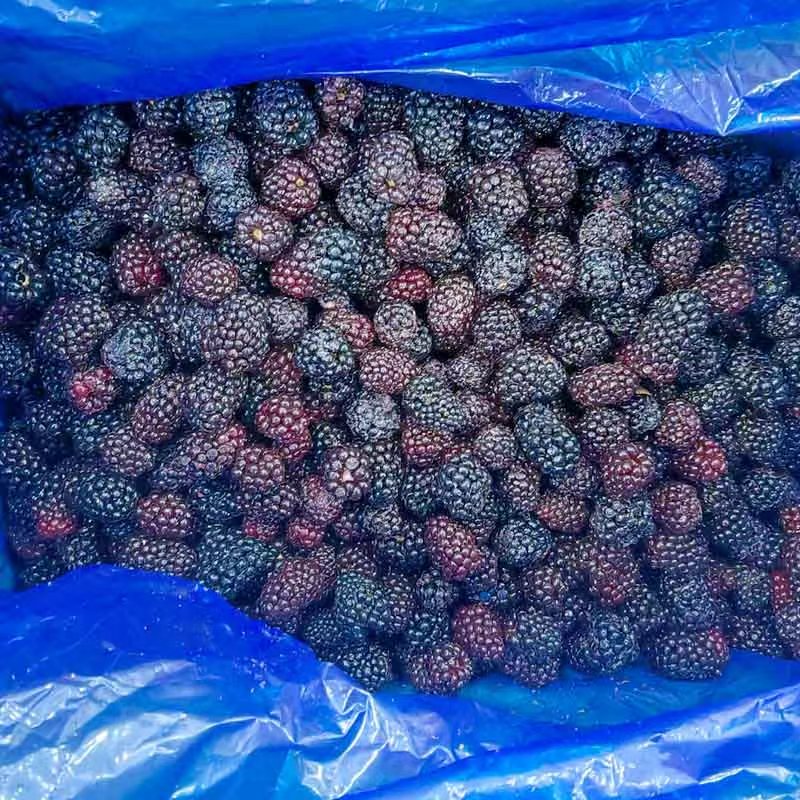 Замороженная ежевика IQF - Yung Yong