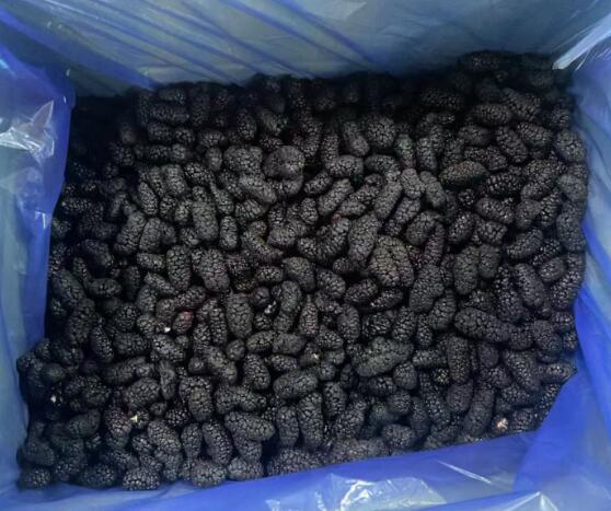Premium IQF Frozen Mulberry Supplier from China