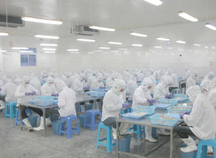 Одно из наших предприятий по переработке морепродуктов – Longhai Oriland Seafood Co., Ltd.